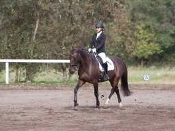 IMG_7937_web